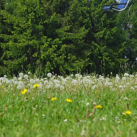 Aagje 002 温特贝格