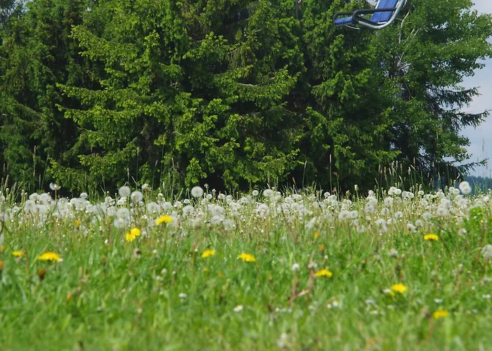 Aagje 002 温特贝格